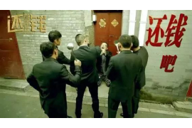 南漳债务清欠服务